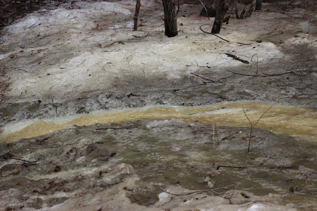 ручей, лог холодный, снегирь, зяблик, тайга, Югра, май