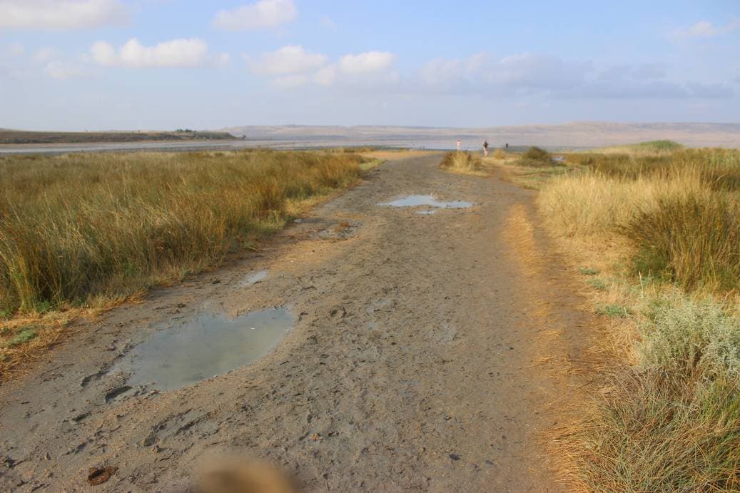 Чокракское озеро 