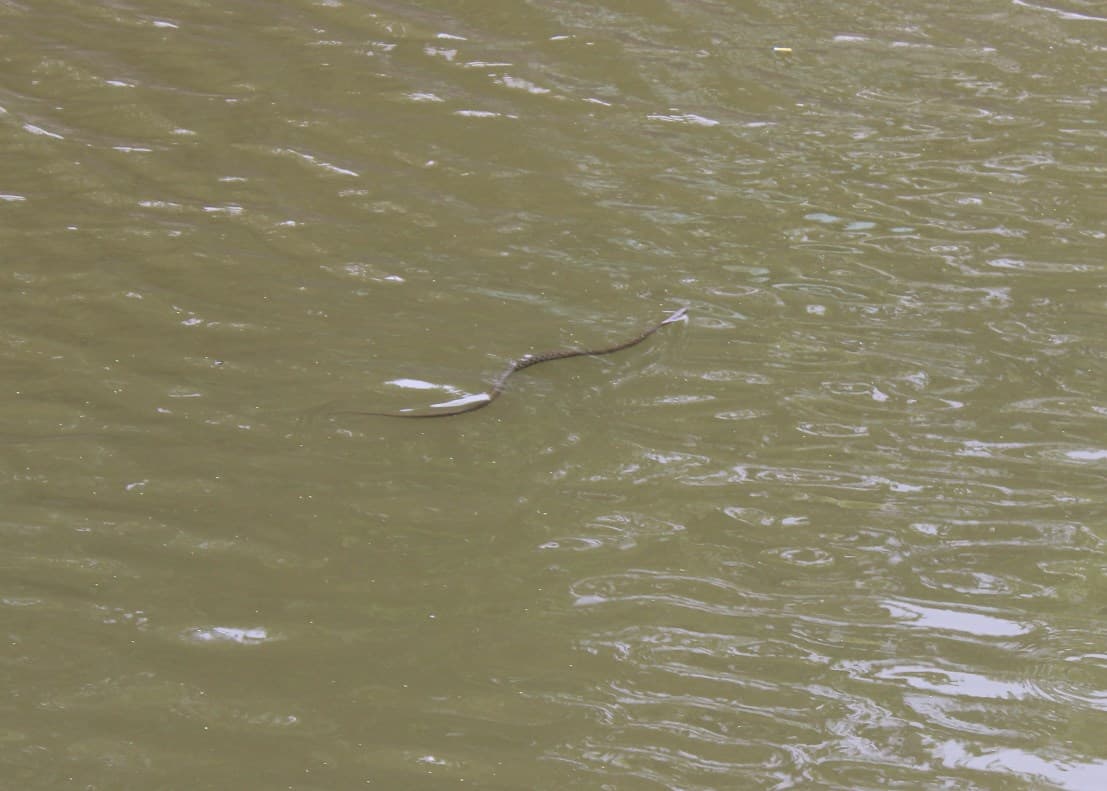 Крым, Керчь