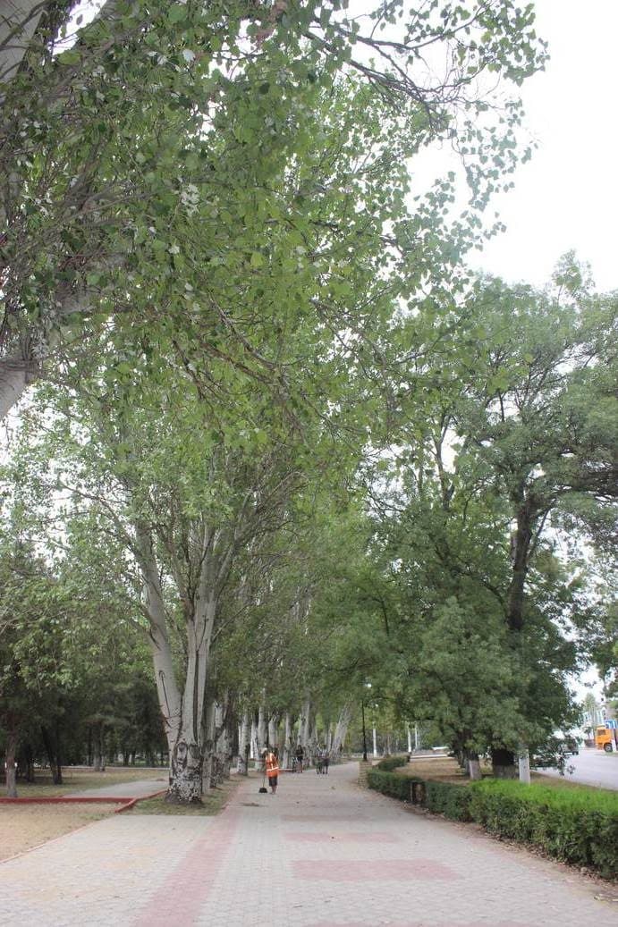 Крым, Керчь