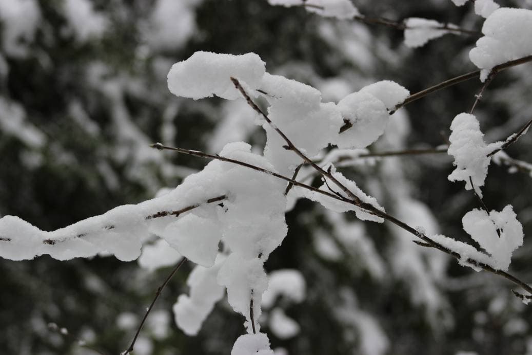 осень, Тайга
