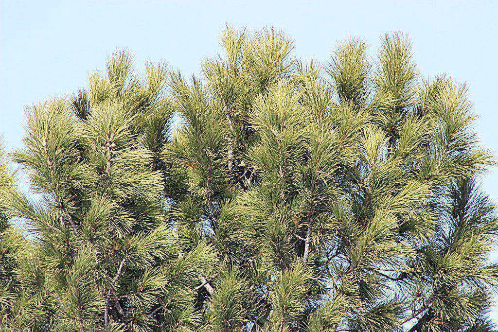 март Ханты-Мансийск