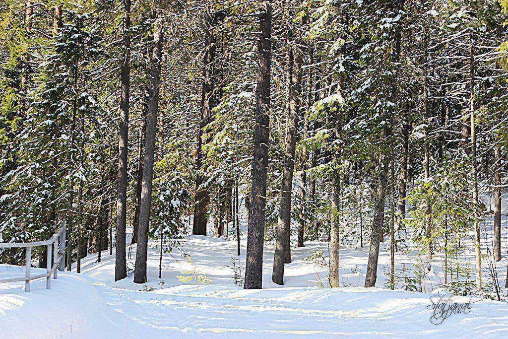 март Ханты-Мансийск