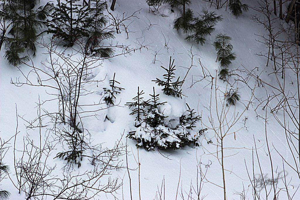 март Ханты-Мансийск