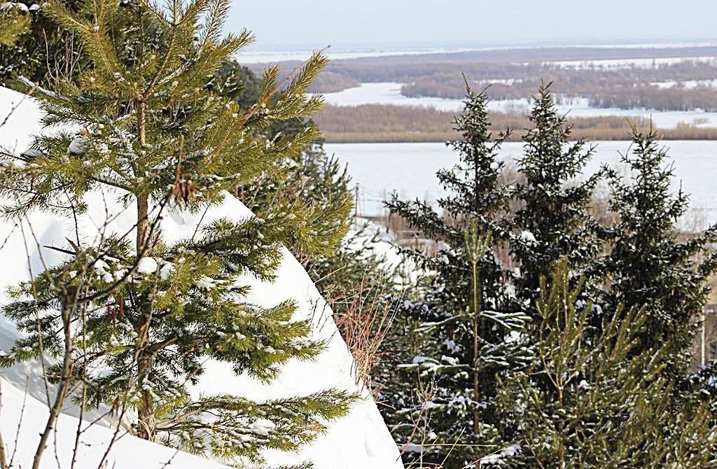 вид на пойму