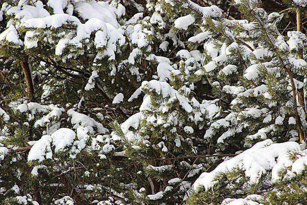 март Ханты-Мансийск