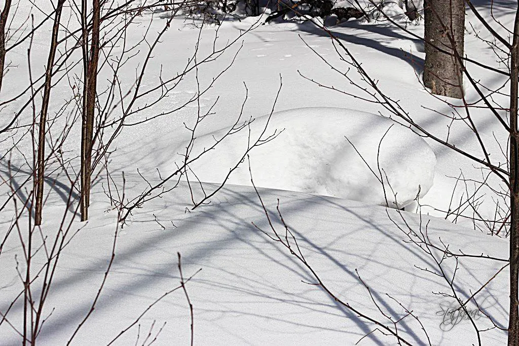 март Ханты-Мансийск