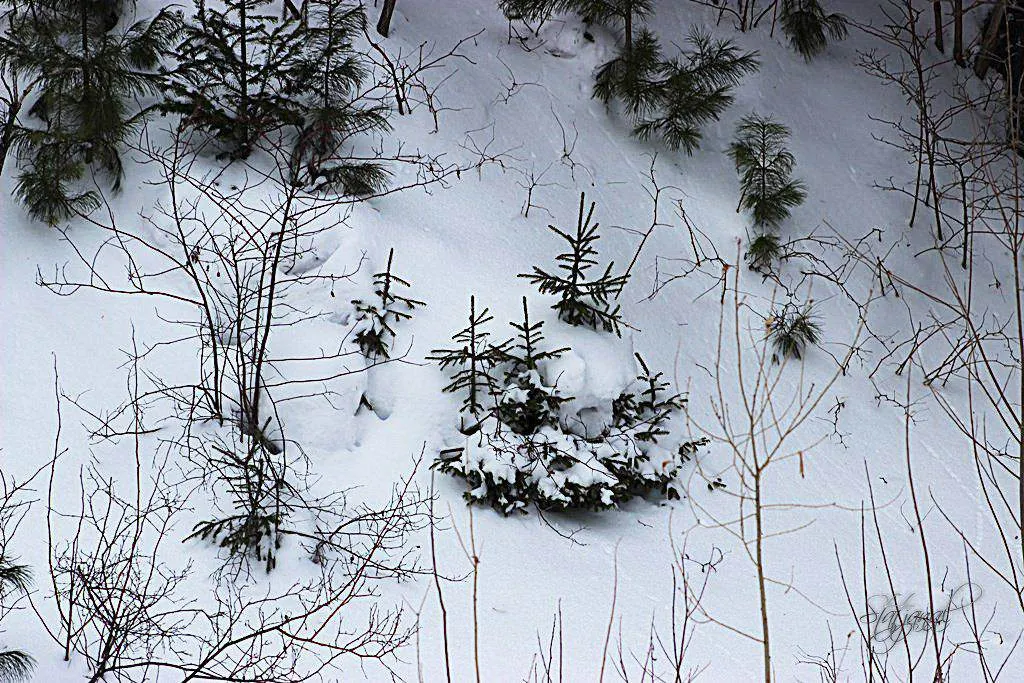 март Ханты-Мансийск