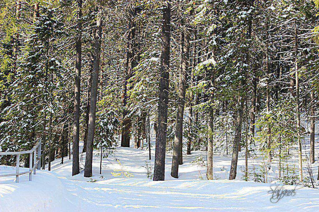 март Ханты-Мансийск